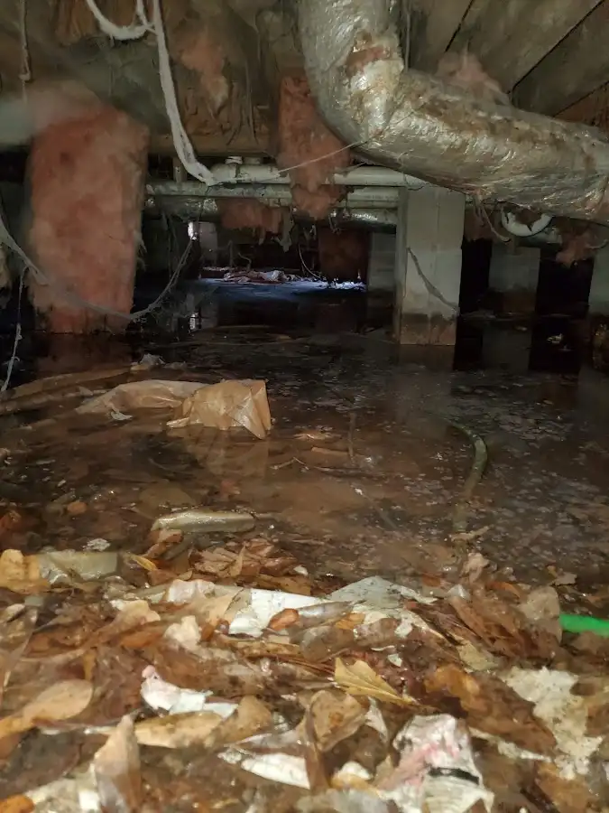 Crawl space flood assessment for Leak Detection & Repair in Coto de Caza